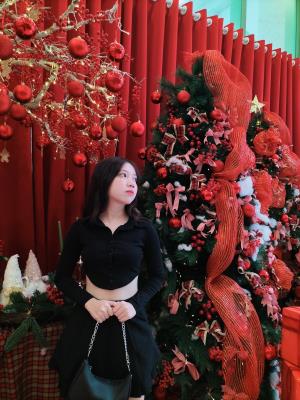Phạm Thị Lan Anh