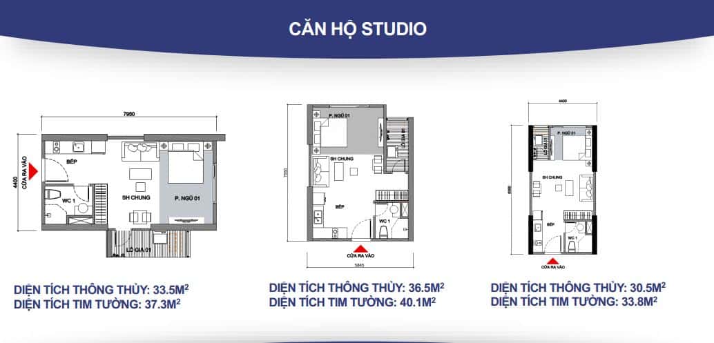 dòng căn hộ studio