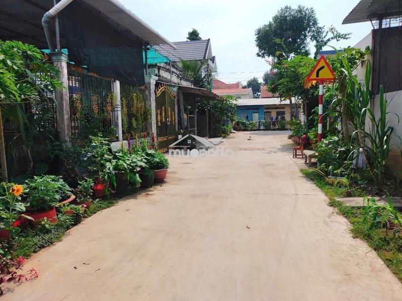 124m2 đường đan 4m ngay trường chuyên tiền giang tp mỹ tho