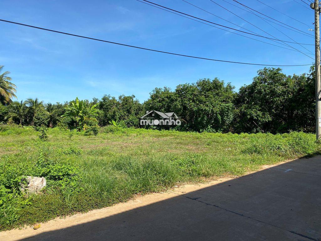 Đất full thổ cư 155m2, sổ hồng riêng, đường bêtông ô tô, gần hồ trị an - 4