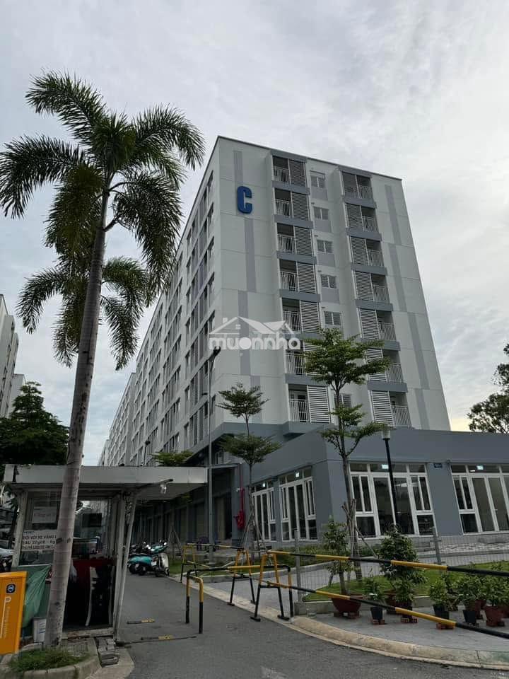 Cho thuê shophouse ehomes nam sài gòn block c 9tr/tháng - 3