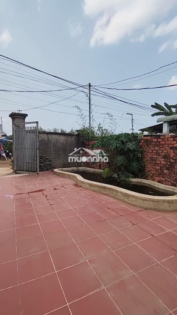 Cho thuê nhà nguyên căn - 3