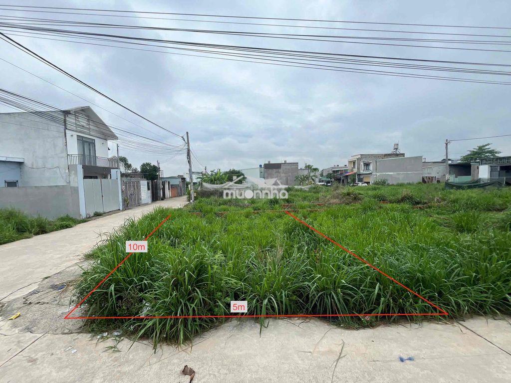 Chính chủ bán đất quy hoạch thổ cư trảng dài, đồng nai - 3