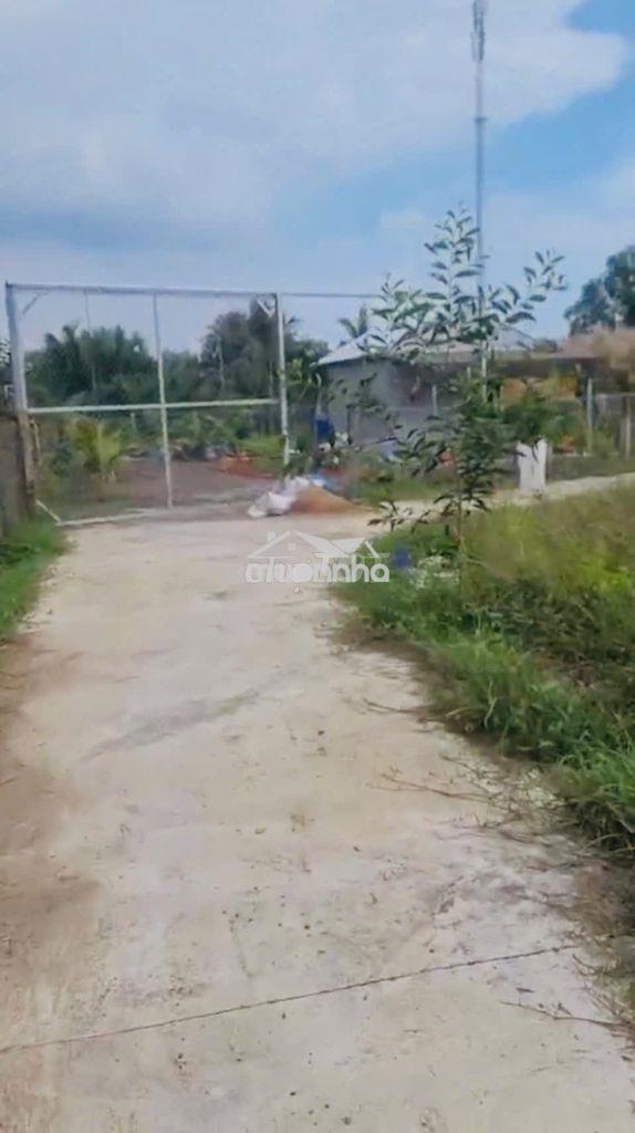 🌿 Bán đất nhà vườn 500m²cần giuộc–gần long hậu, đường ô tô tới tận đất