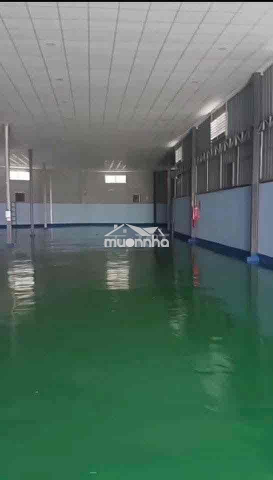 ❇️Cho thuê xưởng 1200m thuận an - 3