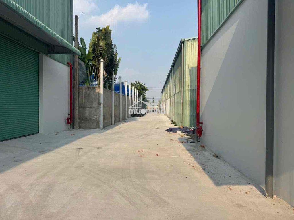 Cho thuê xưởng ưu tiên làm kho khu vực gần thành phố mới bd - 3