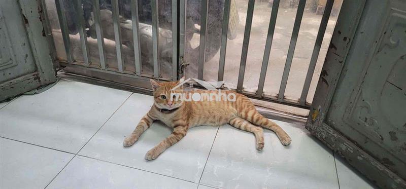 Tìm căn hộ cho thuê tại khu vực gần bệnh viện từ dũ