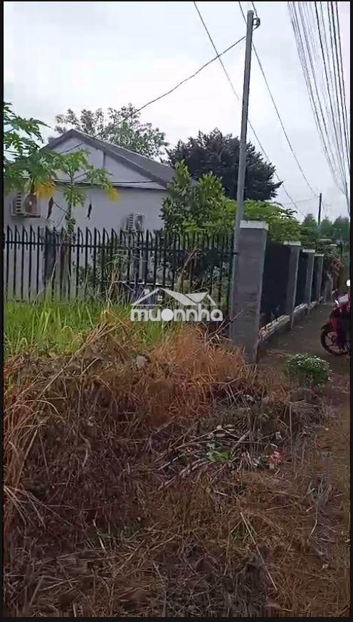Đất nền thổ cư tại phường sông thao, tỉnh đồng nai, 100m² giá 1,5 tỷ - 2