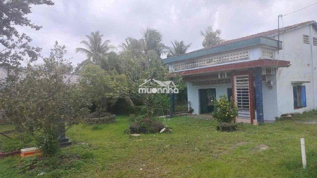 Lô đất 1.421m² mt lộ giục tượng, xã giục tượng, châu thành, kiên giang - 4