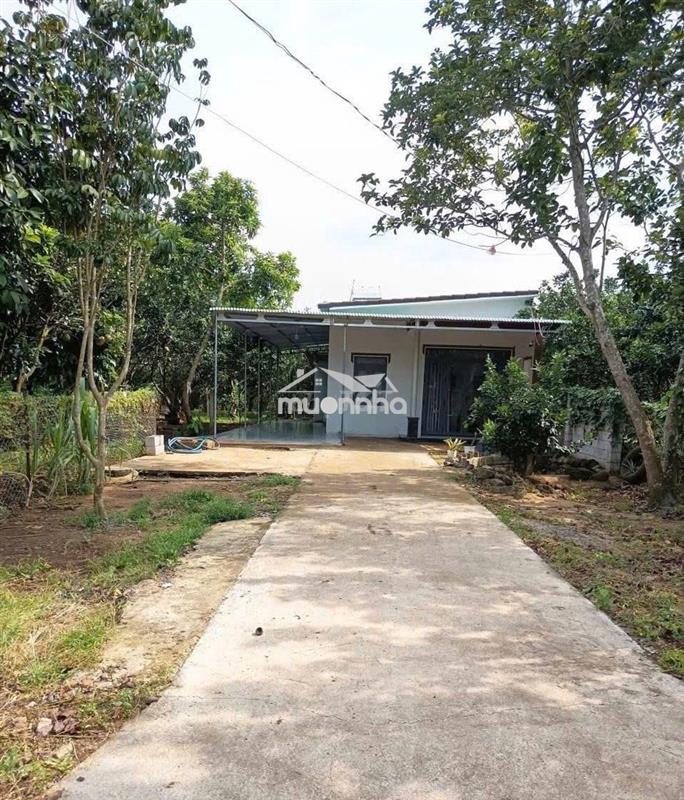 Đất vườn 2000m2 có nhà cấp 4 giá 1 tỷ bảo vinh long khánh đồng nai