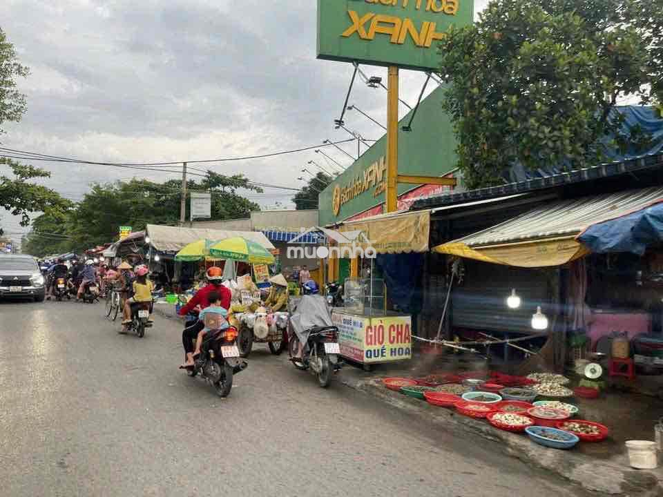 Bán đất giá rẻ - 3