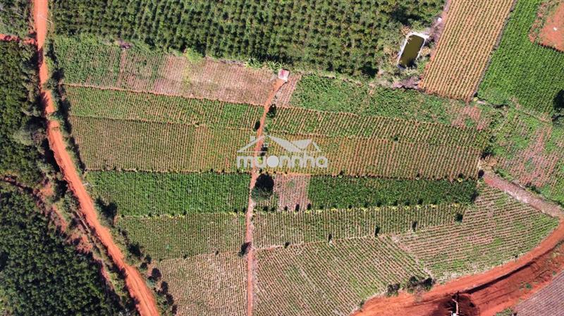 Bán đất bảo lâm lâm đồng 2453,3m² sổ hồng riêng chính chủ