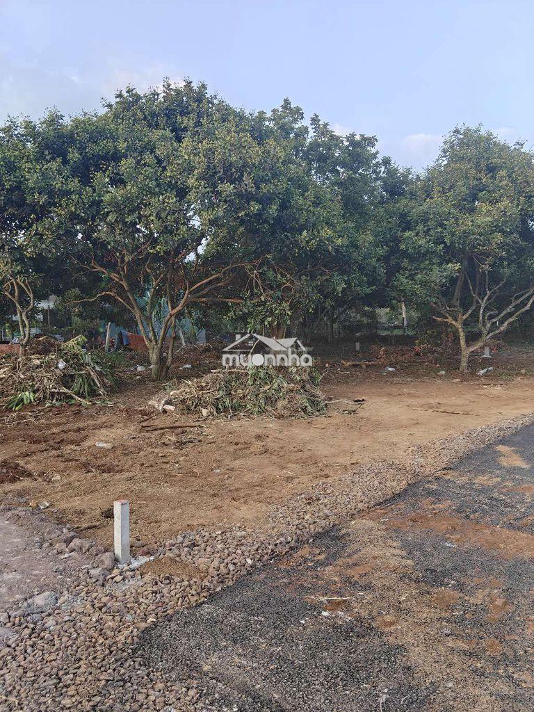 Đất nền mặt tiền nhựa trung tâm phường bình lộc - 3