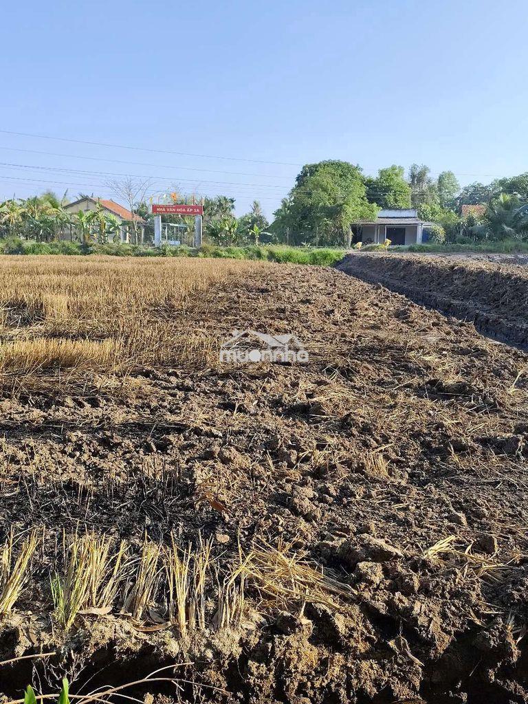 5 nền ngang 10 dài 50 xã đức hoà tây ninh