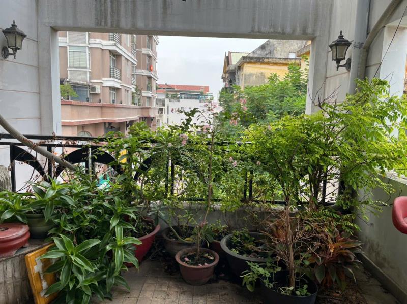 Bán nhà mặt phố thiên phước, 15,...... tỷ, 199m2, view đẹp, tân bình, hcm - 4