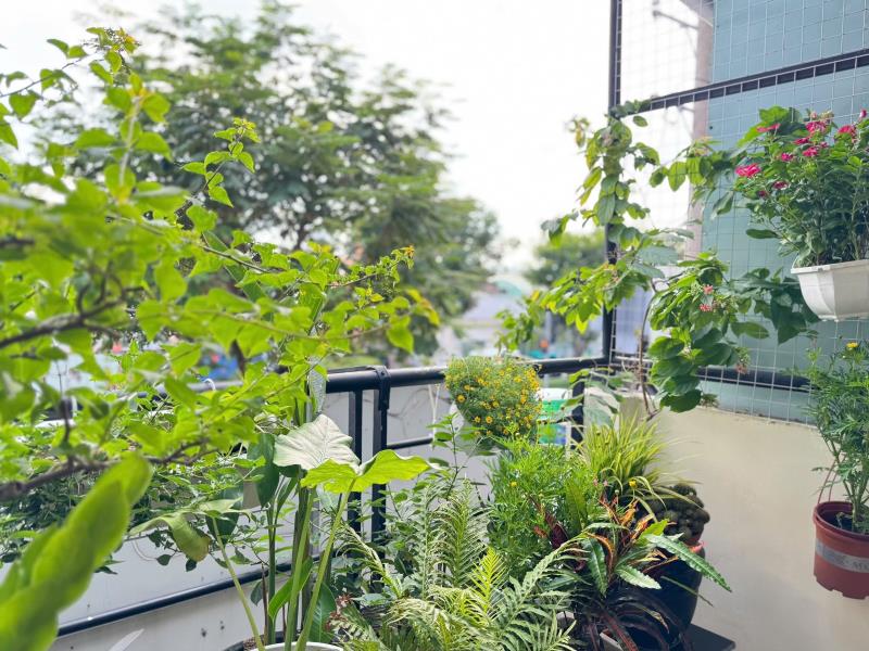Cho thuê căn hộ penthouse sân vườn cây xanh, full nội thất xịn – xô viết nghệ tĩnh, bình thạnh (gần q1, q2) - 3