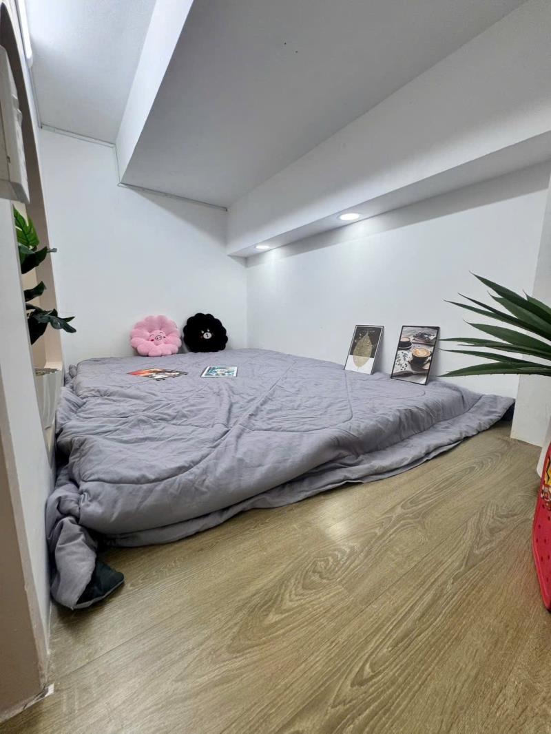 Cho thuê căn hộ tân bình - duplex 2 pn tách bếp full nội thất - 0926051*** - 4