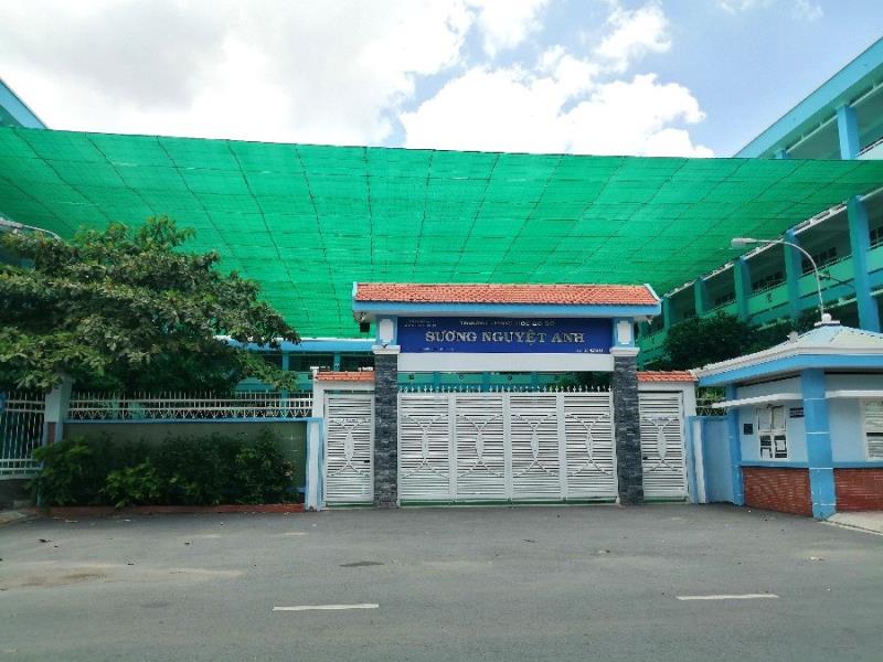 64m2, 4x16, 3 tầng sân thượng, mặt tiền kdc bông sao - bùi minh trực, nhỉnh 8 tỷ