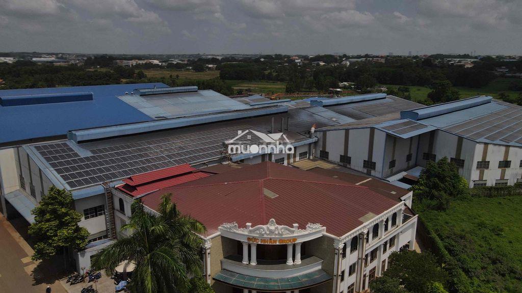 Nhà xưỡng cho thuê 19.000 m2- chuyên sản xuất - 3