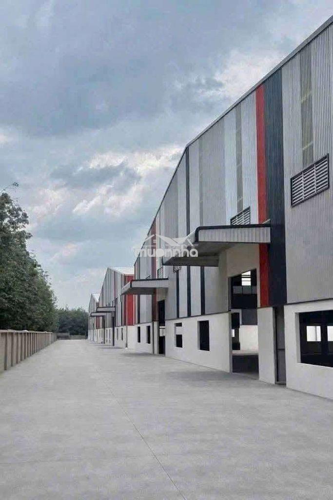 Cho thuê xưởng 11500m2.bàu bàng bình dương.giá 60k/ m2 - 3