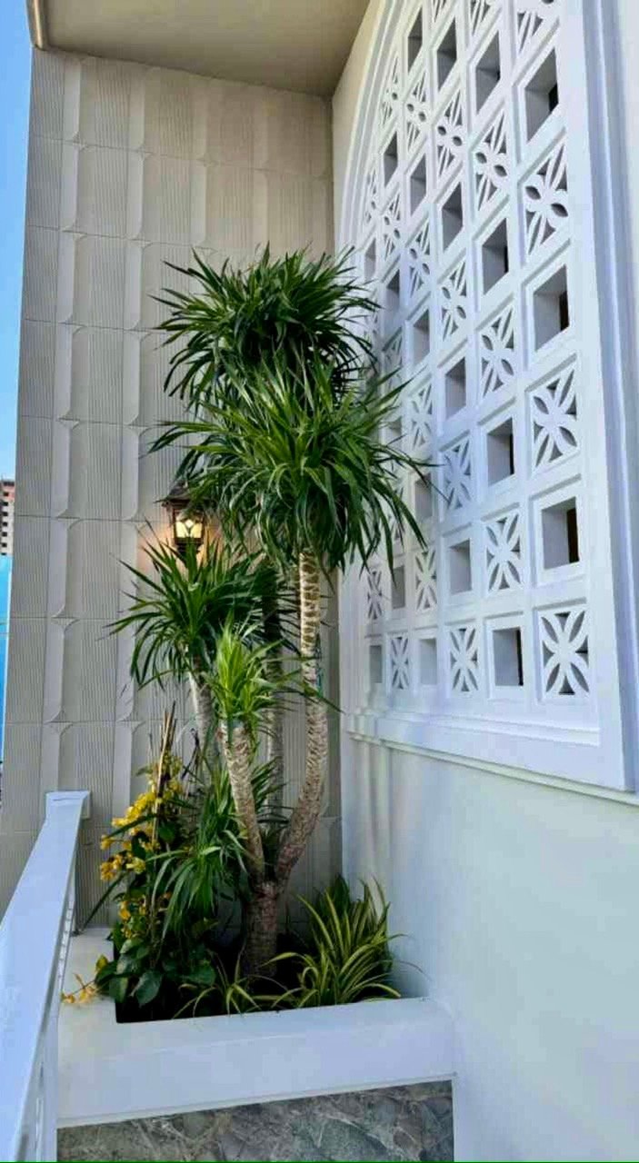 Mặt tiền nhà gần như đẹp nhất hẻm, hẻm an ninh yên tĩnh ít hộ dân, vài chục mét là ra đường chính - 3