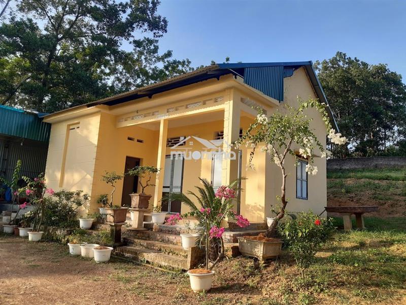 Cần bán nhà vườn 2193m²  chính chủ - ba vì, hà nội