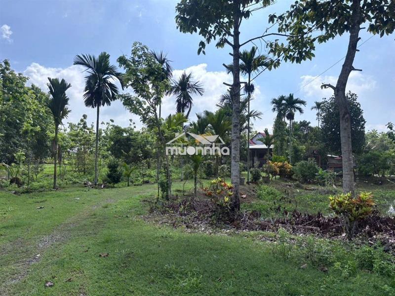 🌿633tr sở hữu ngay đất vườn 1.155m² gần hồ – quy hoạch đất ở nông thôn