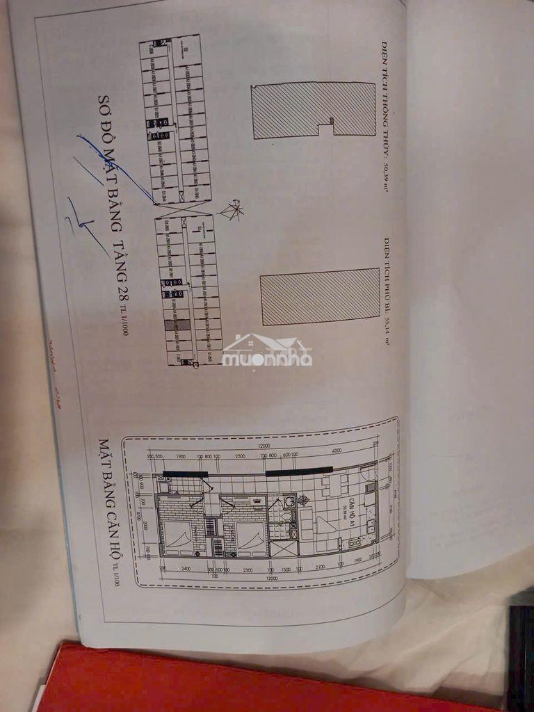 Chung cư romaxa plaza thuận an - 3