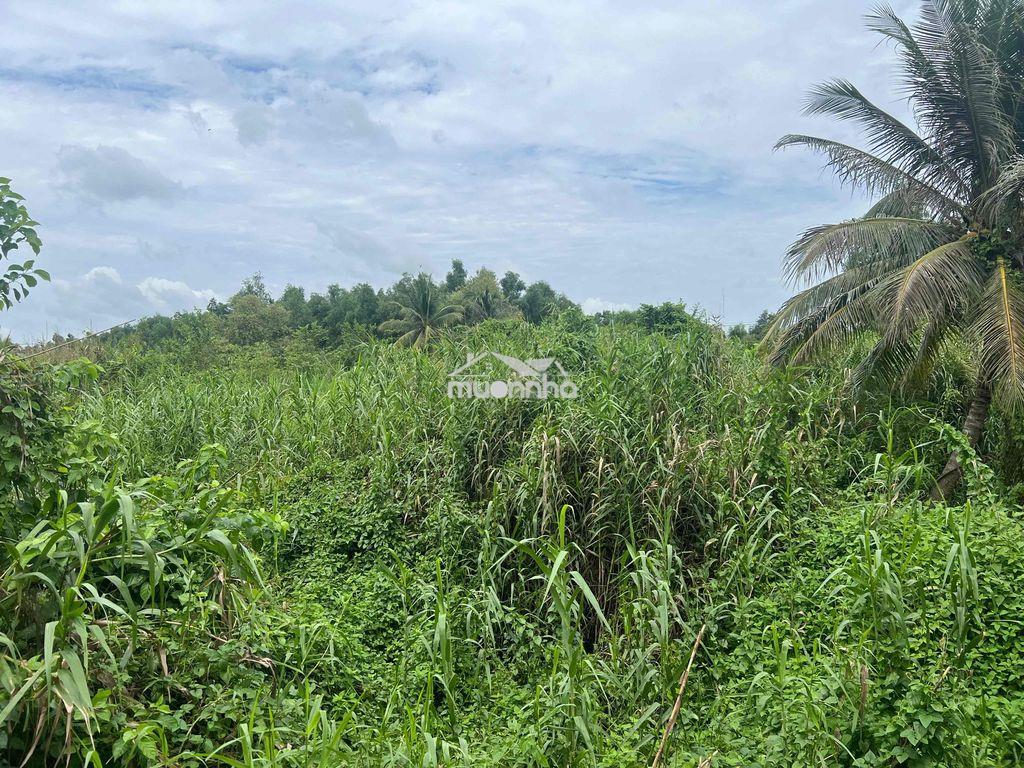 Ngân hàng thanh lý lô đất full thổ cư mặt tiền đường võ văn kiệt - 4