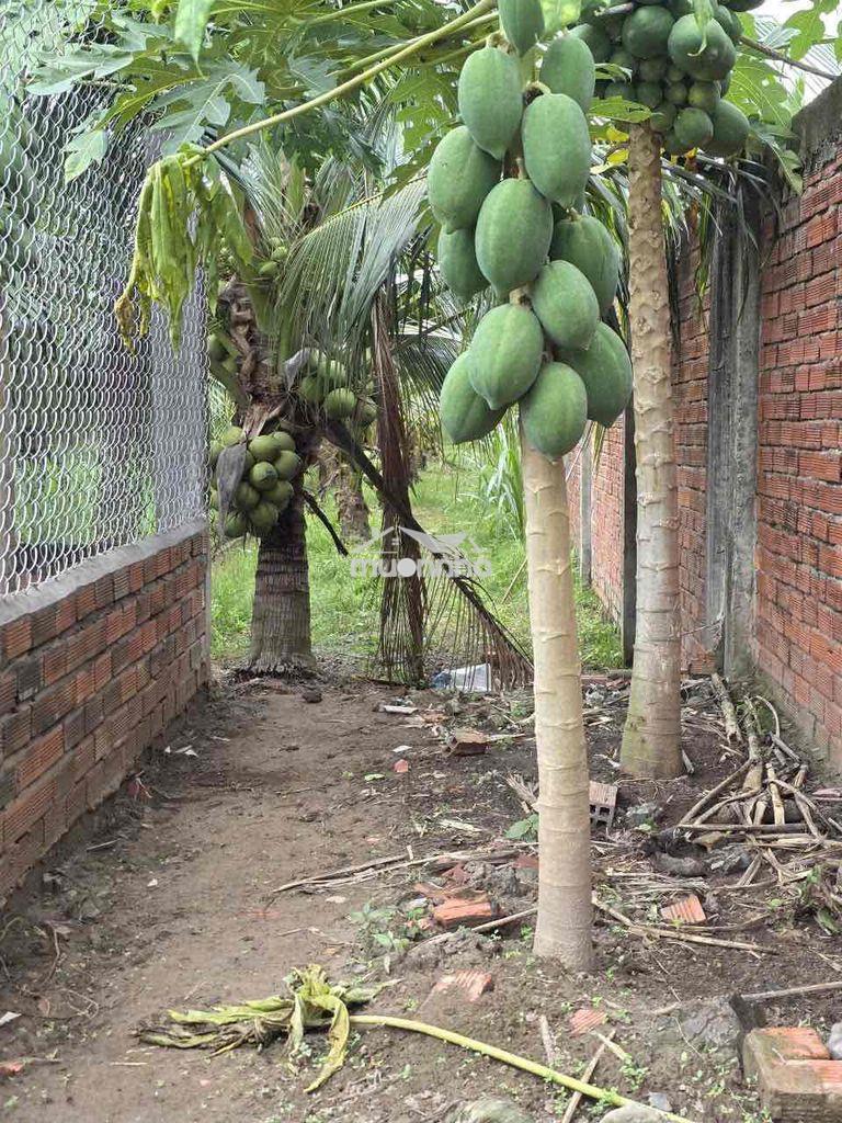 Chính chủ cần bán gấp đất - 4