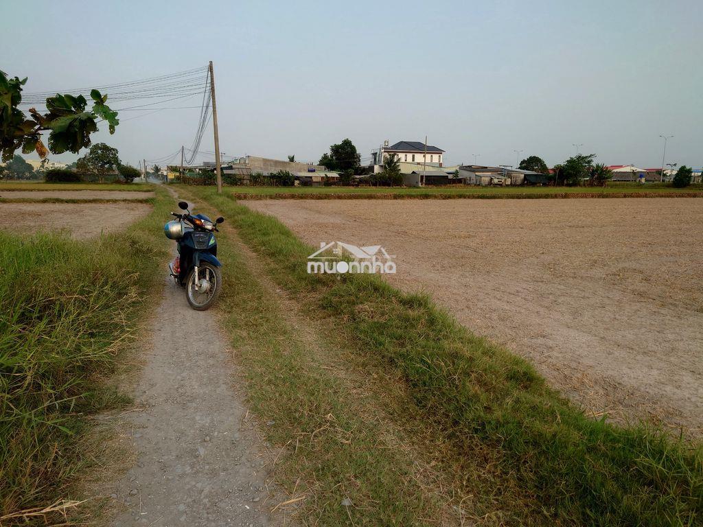 Bán đất thổ cư đấu lưng 823d, xã đức hòa đông - 2