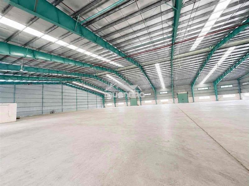 Cho thuê kho đẹp, hiếm có khó tìm, giá tốt, pccc tự động, đường cont