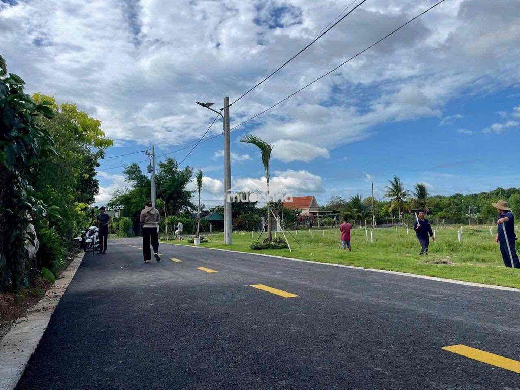 🏡 Đất nền bình dương - lô đẹp - giá hấp dẫn - cơ hội đầu tư - 4