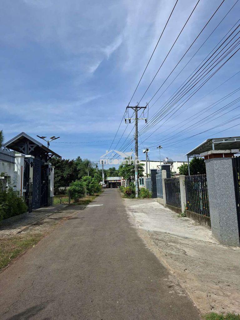 Đất view núi cực đẹp giáp long khánh - 2