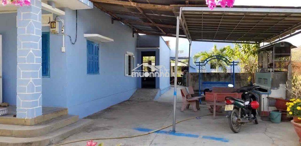 Nhà riêng rộng rãi ở tháp chàm - 3