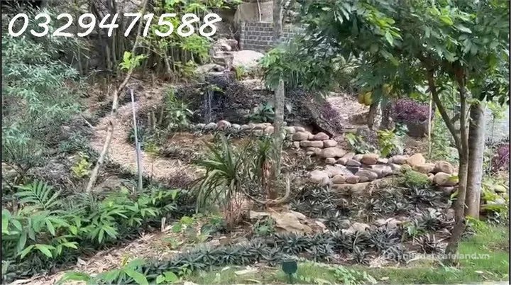 🌻Cho thuê nhà vườn tại xã lạc lương (h.yên thuỷ, hoà bình), nay là phú thọ. 0329471*** - 3
