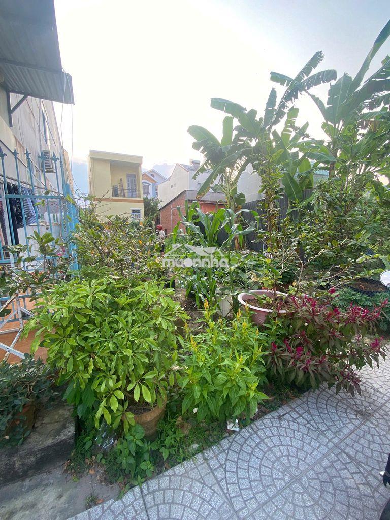 Nền đẹp (5,5x17)full thổ đường nhựa oto kdc ngọc vân phường 3 - 2