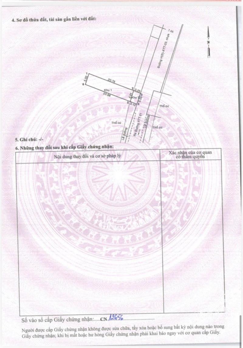 5 lô đất xuân thới thượng 20, bà điêm-hóc môn ( 5×24) 100m² full thổ - 4