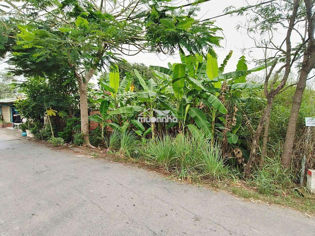 Bán đất mt đường hóc hưu, qui đức,  bình chánh. 180m² đất cln, 1,4 tỷ - 4
