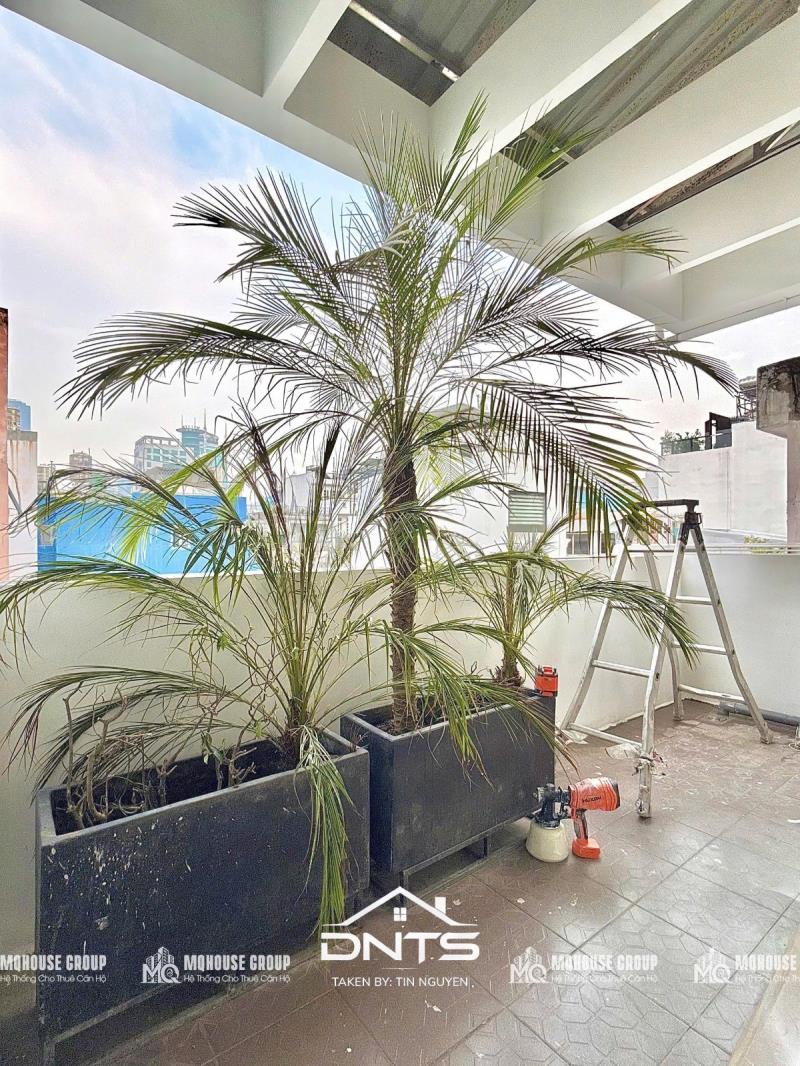 🏙️ Luxury living tân bình | căn hộ full nội thất cao cấp - 3