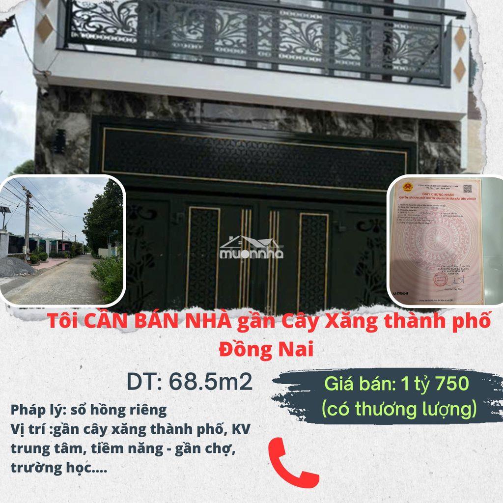 Tôi cần bán nhà phố cây da, tân triều đồng nai - 2