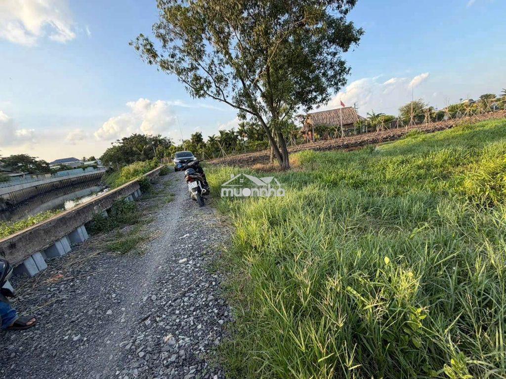 1300m2 đất nông nghiệp nguyễn thị ngâu vài 100m, chỉ 2.99 tỷ - 2
