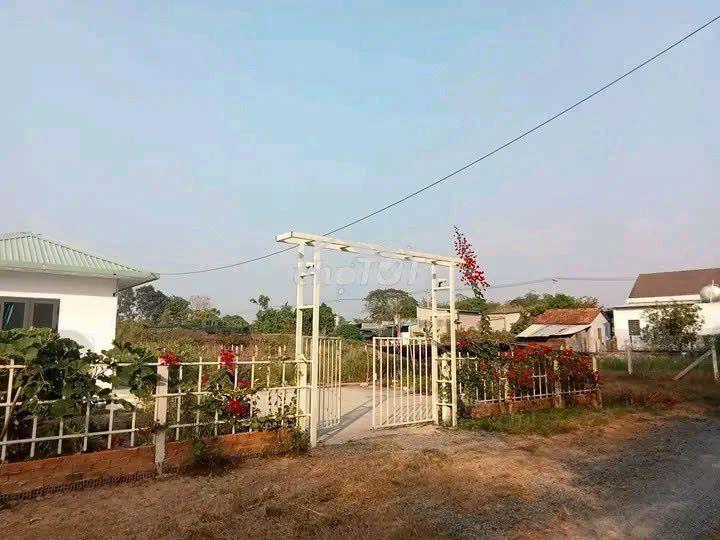 Ngộp! bán lô đất tặng nhà mt đường xe tải, dt 1.036m2, full thổ - 2