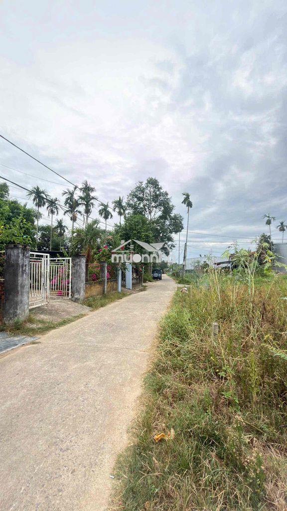 Bán đất hoà tiến — đường liên tổ 123 — nguyễn bá tùng - 3