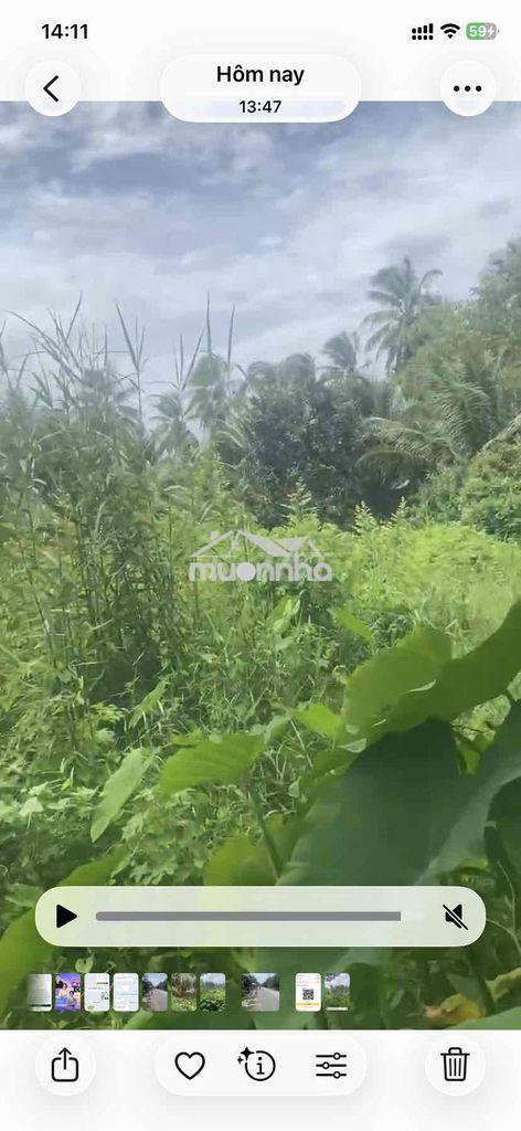 🌿 Đất vườn gần 7 công – giá chỉ 2,7 tỷ 🌿 - 2