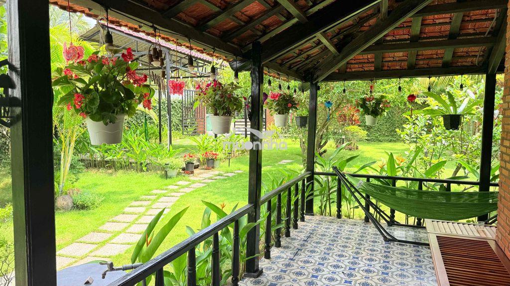Nhà vườn trong khu đẹp hoài niệm - 2