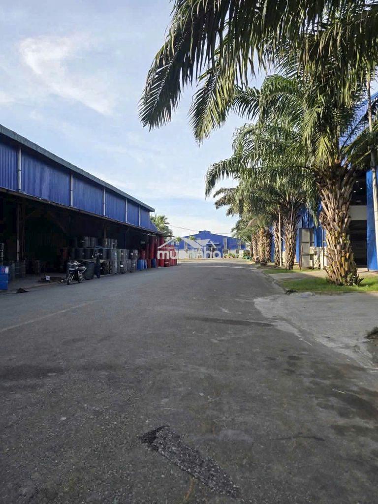 Cho thuê kho xưởng 2300m2 gần kcn vĩnh lộc, bình tân - 4