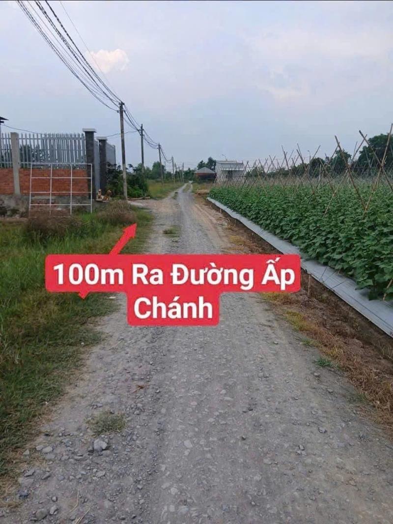 Bán đất / ấp chánh , thị trấn hậu nghĩa 232m2 full thổ đường oto đá xanh giá chốt 1,25 tỷ - 2