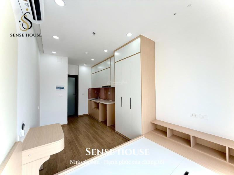 Căn hộ studio mới 100% ban công lớn, đường huỳnh văn nghệ, full nội thất cao cấp - 4