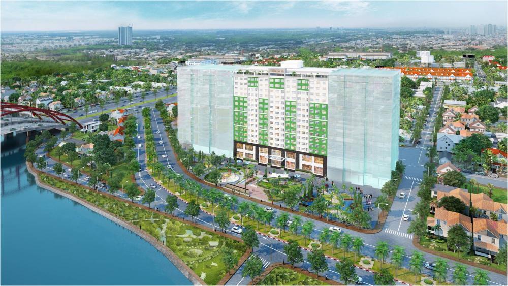 Citizen Trung Sơn